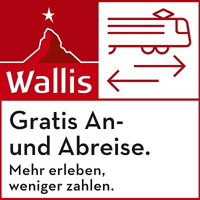 Mobility Ticket